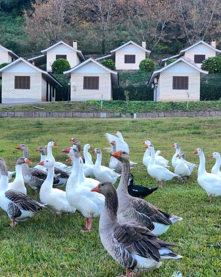 Pousada Parque Das Pitangueiras Флорис-да-Кунья Экстерьер фото