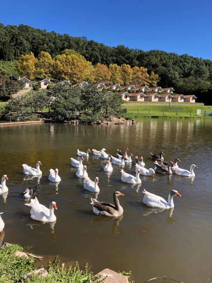Pousada Parque Das Pitangueiras Флорис-да-Кунья Экстерьер фото